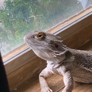 Meet your Posher, Jen